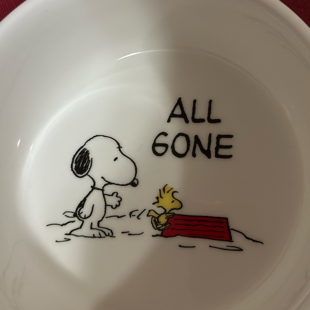 Peanuts Snoopy Pet Bowl collection - Picture 6 of 15